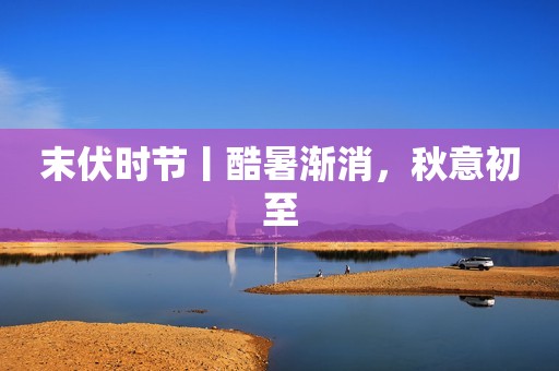 末伏时节丨酷暑渐消，秋意初至