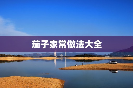 茄子家常做法大全