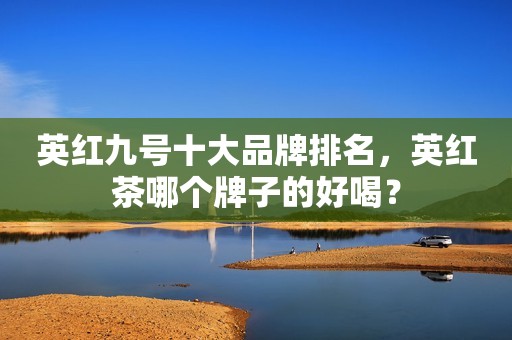 英红九号十大品牌排名，英红茶哪个牌子的好喝？