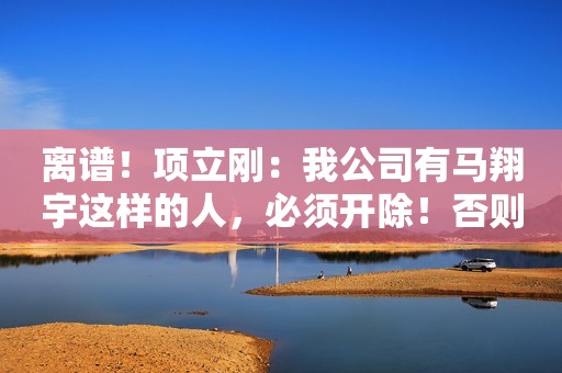离谱！项立刚：我公司有马翔宇这样的人，必须开除！否则鸡犬不宁
