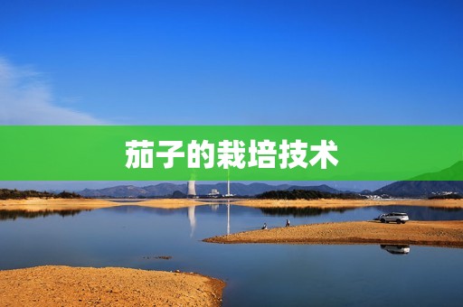 茄子的栽培技术