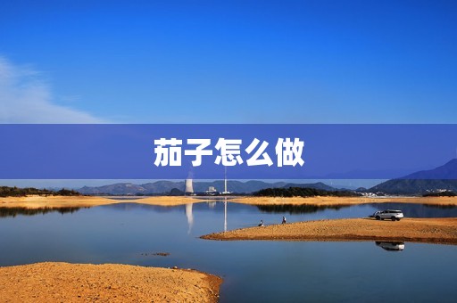 茄子怎么做