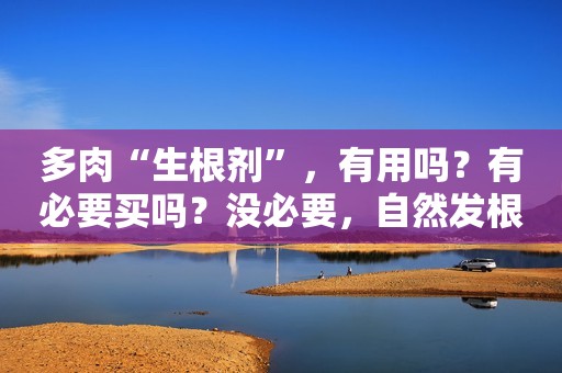 多肉“生根剂”，有用吗？有必要买吗？没必要，自然发根最好