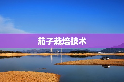 茄子栽培技术