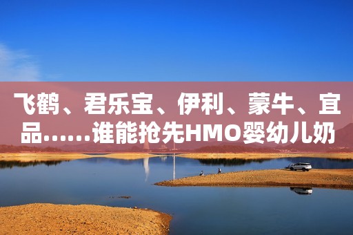 飞鹤、君乐宝、伊利、蒙牛、宜品……谁能抢先HMO婴幼儿奶粉？