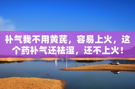 补气我不用黄芪，容易上火，这个药补气还祛湿，还不上火！