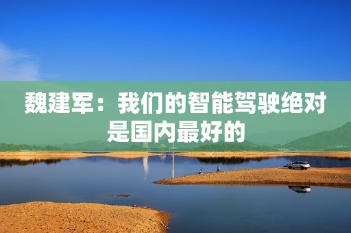 魏建军：我们的智能驾驶绝对是国内最好的
