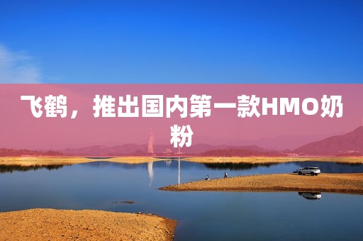 飞鹤，推出国内第一款HMO奶粉