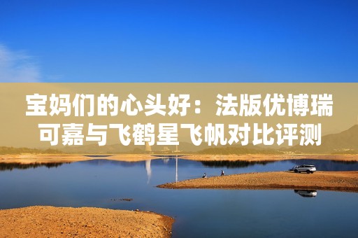 宝妈们的心头好：法版优博瑞可嘉与飞鹤星飞帆对比评测