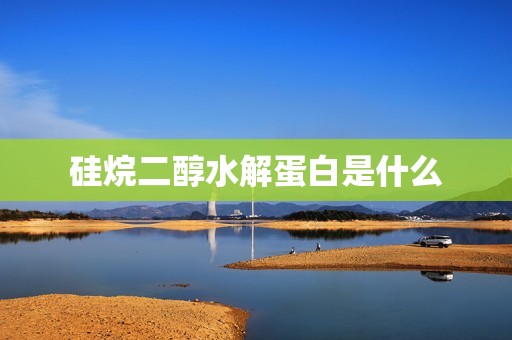 硅烷二醇水解蛋白是什么