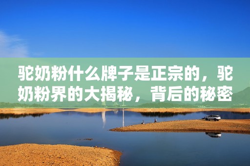 驼奶粉什么牌子是正宗的，驼奶粉界的大揭秘，背后的秘密！