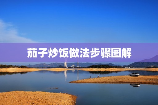 茄子炒饭做法步骤图解