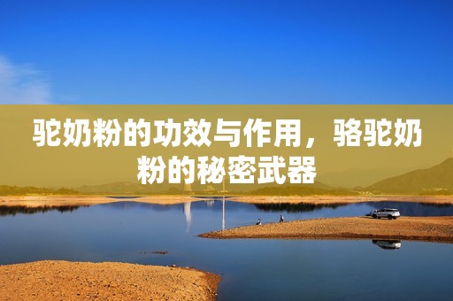 驼奶粉的功效与作用，骆驼奶粉的秘密武器