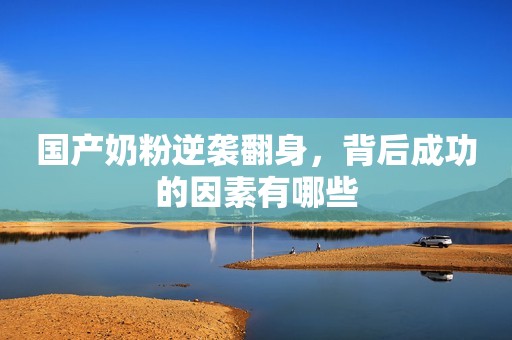 国产奶粉逆袭翻身，背后成功的因素有哪些