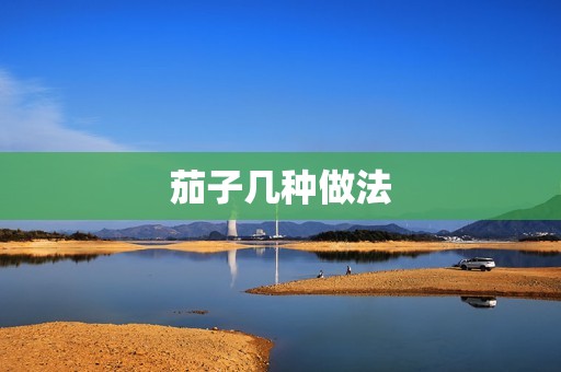 茄子几种做法