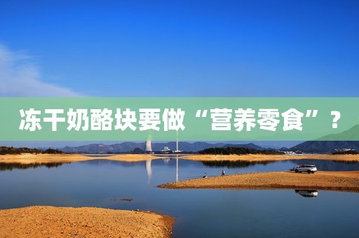 冻干奶酪块要做“营养零食”？