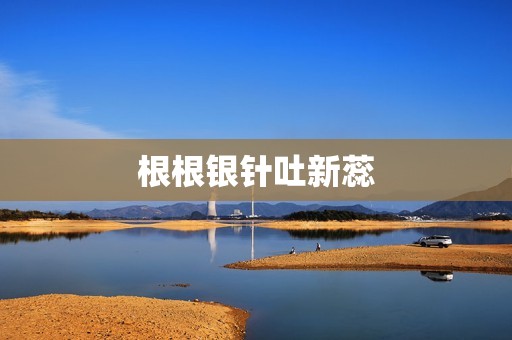 根根银针吐新蕊