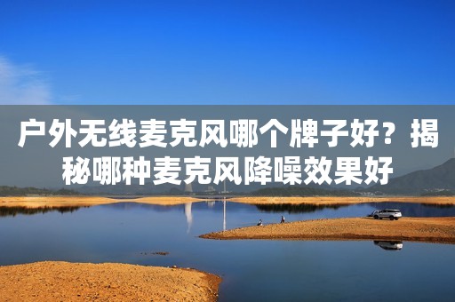 户外无线麦克风哪个牌子好？揭秘哪种麦克风降噪效果好