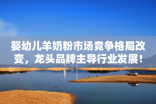 婴幼儿羊奶粉市场竞争格局改变，龙头品牌主导行业发展！