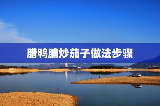 腊鸭脯炒茄子做法步骤