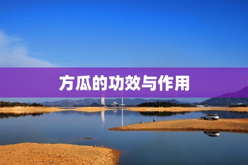 方瓜的功效与作用