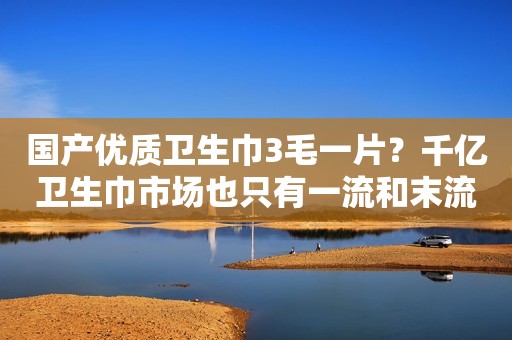 国产优质卫生巾3毛一片？千亿卫生巾市场也只有一流和末流