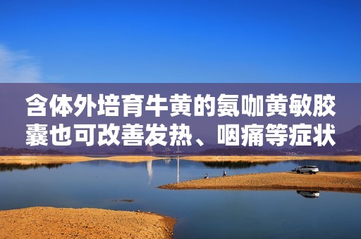 详细阅读:含体外培育牛黄的氨咖黄敏胶囊也可改善发热、咽痛等症状 含体外培育牛黄的氨咖黄敏胶囊也可改善发热、咽痛等症状
